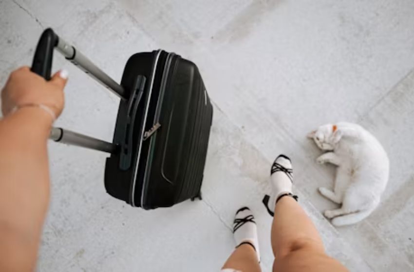 Reisetasche