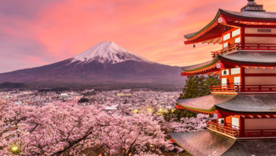 kaufen in Japan
